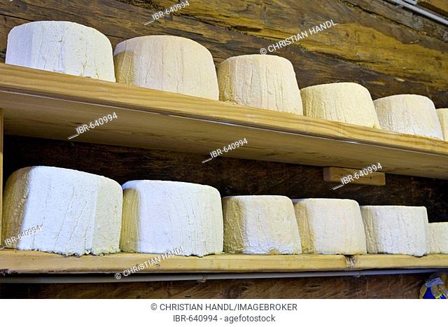 Cheese storage, Draugsteinalm (Draugstein mountain pasture), Grossarltal (Grossarl Valley), Salzburg, Austria, Europe