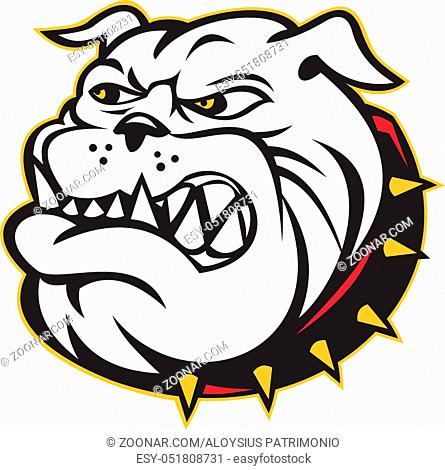 illustration of an Angry bulldog mongrel dog head mascot on isolated white background done in cartoon style
