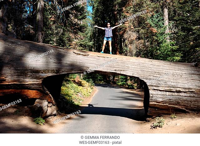 Woman standing on top of a Tunnel Log in Sequoia National Park, California, USA
