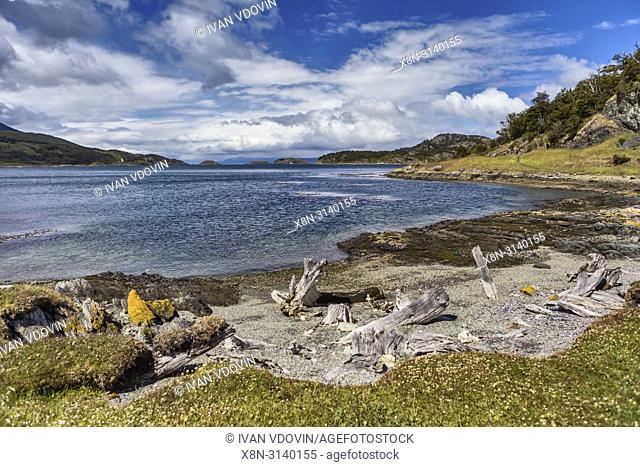 Tierra del Fuego National park, Isla Grande del Tierra del Fuego, Tierra del Fuego, Antartida e Islas del Atlantico Sur, Argentina