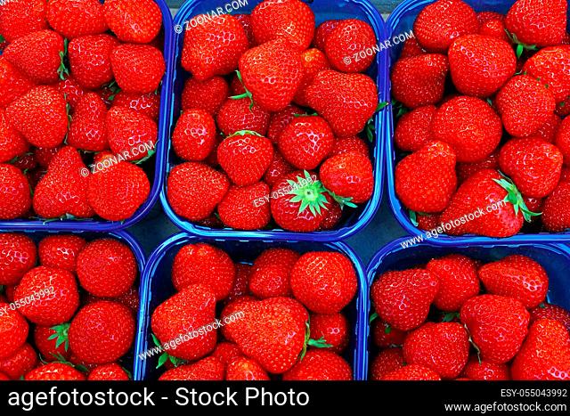 Close up fresh red ripe strawberry berries in plastic container boxes on retail display of farmers market, high angle view