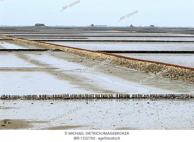 View over the mud flats at low water, groynes and the lorry dam to Hallig Nordstrandischmoor holm, Nationalpark Schleswig-Holsteinisches Wattenmeer National...