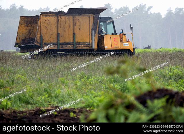 PRODUCTION - 31 July 2023, Mecklenburg-Western Pomerania, Sanitz: In the rain, a caterpillar tractor removes the excavated upper layer of soil, including plants