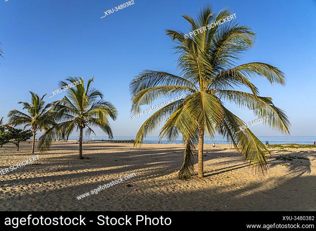 Kokospalmen am Strand von Cape Point, Bakau, Gambia, Westafrika | palm fringed Cape Point beach, Bakau, Gambia, West Africa,