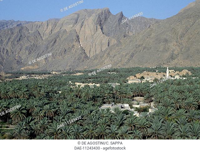 Palm grove with a village and mountain range in the background, Nakhl, Oman