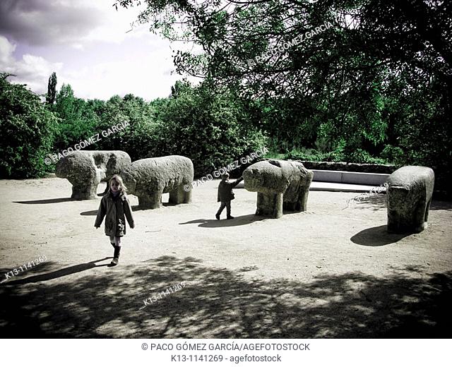 Toros de Guisando (Bulls of Guisando), celtiberian sculptures. El Tiemblo, Avila province, Spain
