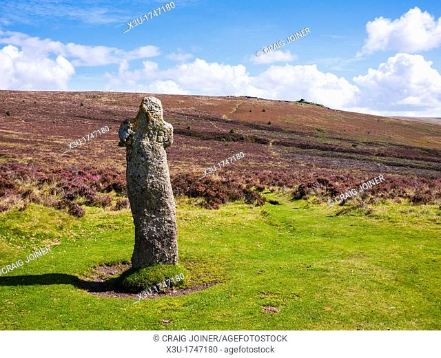 Bennetts Cross at Headland Warren in the Dartmoor National Park, Devon, England, United Kingdom