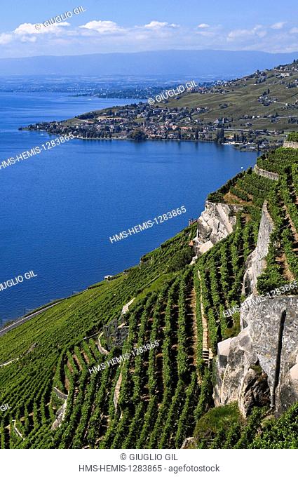 Switzerland, Canton of Vaud, Lavaux Vineyard Terraces listed as World Heritage by UNESCO, view from village to Chexbres Grandvaux on Lake Geneva