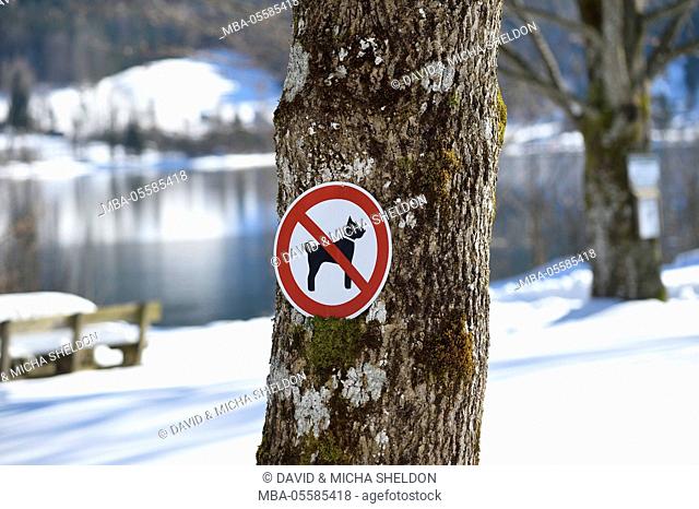 Sign, dogs forbidden, shore, Grundlsee, Styria, Austria, Europe