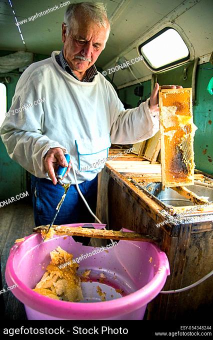 The beekeeper separates the wax from the honeycomb frame. A special knife for separating the wax from the frame with honey