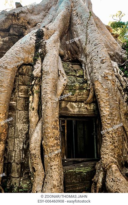 Ancient buddhist khmer temple in Angkor Wat complex, Siem Reap Cambodia