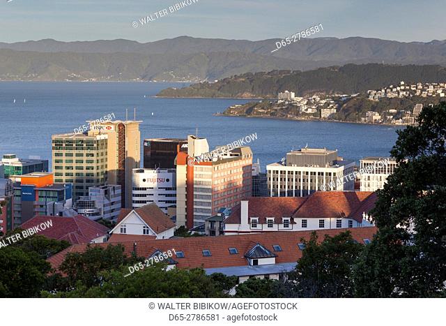 New Zealand, North Island, Wellington, city skyline from the Wellington Botanic Gardens, dusk