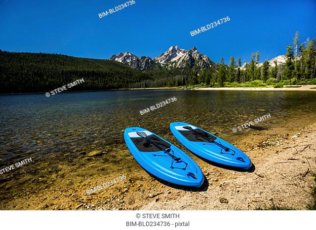 Blue paddleboards at river