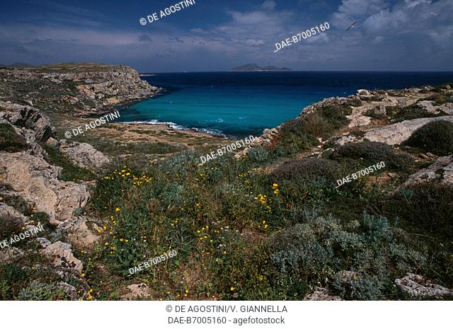 View of Cala Rossa with maquis shrubland, Favignana Island, Aegadian Islands, Sicily, Italy