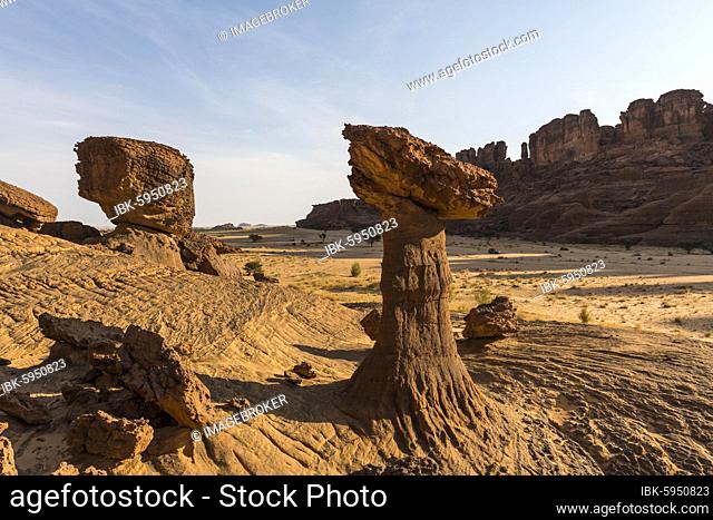 Rock formation, Hoodoo, Ennedi Plateau, Chad, Africa