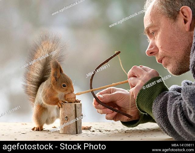red squirrel and man are holding a bow with walnut and arrow