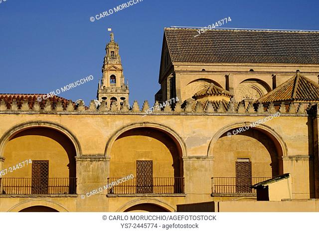 The Bell Tower and the Great Mosque at Cordoba, Mezquita, Cordoba, Andalucia, Spain, Europe