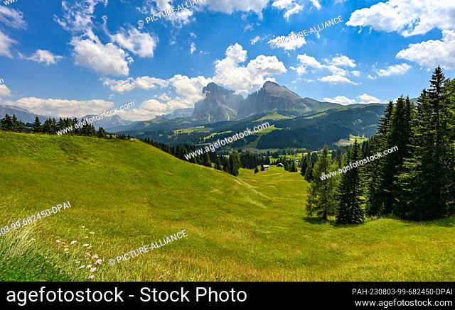 16 July 2023, Italy, Wolkenstein: View over the Alpe di Siusi in South Tyrol in the Dolomites to the mountain peaks Forcella del Sassolungo with Sassolungo