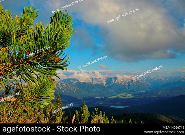 hike to klaffen 1829m, ester mountains, sunset, grasses in the foreground, view of the karwendel mountains, cloud mood, europe, germany, bavaria, upper bavaria