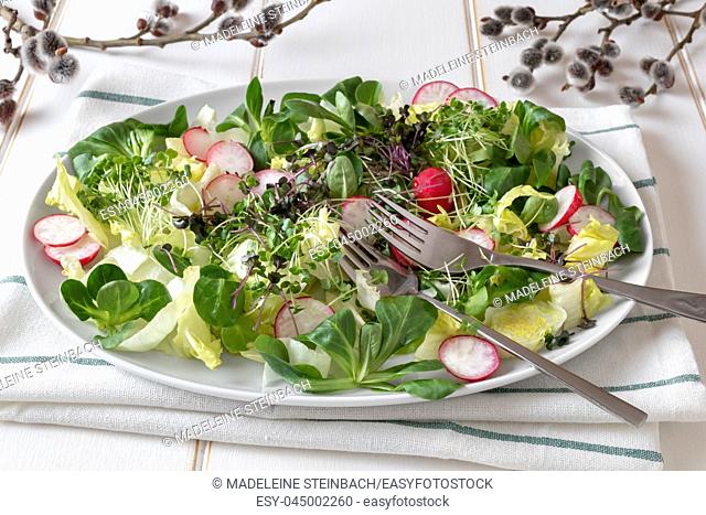 Spring salad with radishes and fresh broccoli and kale microgreens on a white background