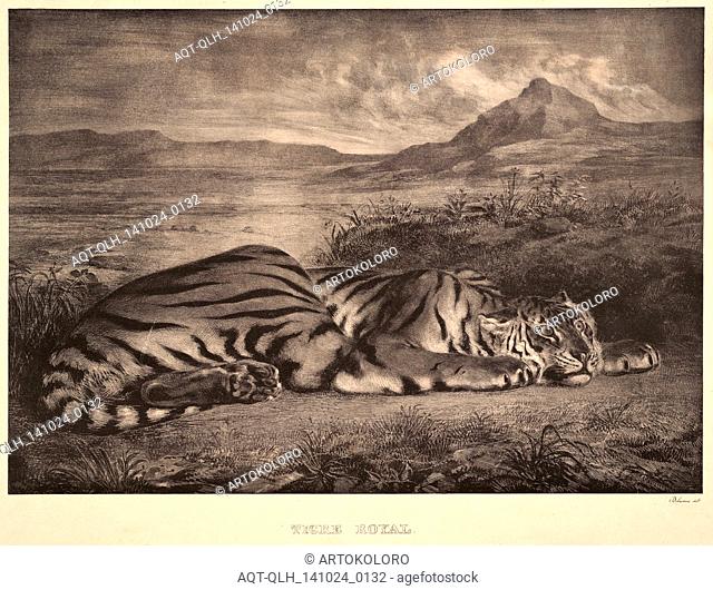Eugène Delacroix (French, 1798 - 1863). Tigre Royal, 1829. Lithograph. Undescribed state, without (?) address