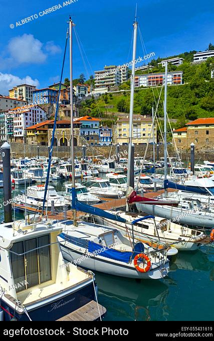 Fishing Port, Mutriku Harbour, Old Town, Mutriku, Guipúzcoa, Basque Country, Spain, Europe