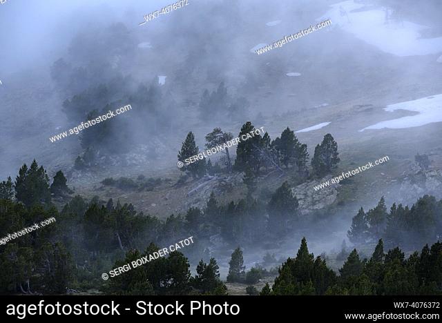 Camporrells hut and lakes at twilight, with mist in front of the Pic Peric(Pyrenees Orientales, France)