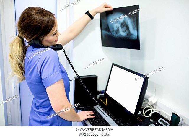 Vet checking x-ray while talking on the phone