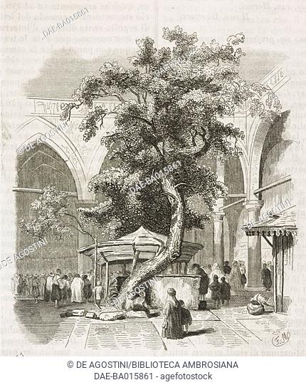 Interior courtyard of Kesmas-el-Baradeyeh mosque, Cairo, Egypt, engraving from L'album, giornale letterario e di belle arti, January 10, 1846, Year 12