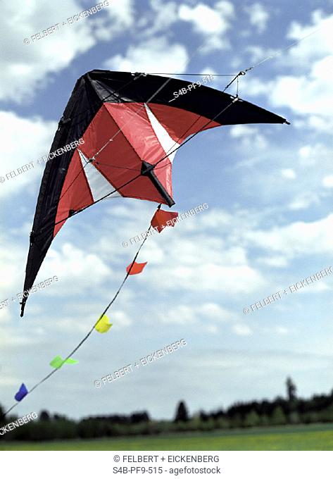 Rot-schwarzer Flugdrachen ueber einer Wiese - Wind - Himmel - Landschaft - Jahreszeit , Red-black Kite flying over a Meadow - Wind - Sky - Landscape - Season