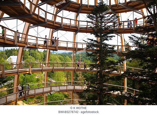 Viewing Tower of the Tree top walk in National Park Bavarian Forest, Germany, Bavaria, Bavarian Forest National Park