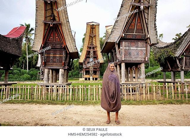 Indonesia, Sulawesi Celebes Island, Toraja land, tongkonan Toraja house with buffalo heads