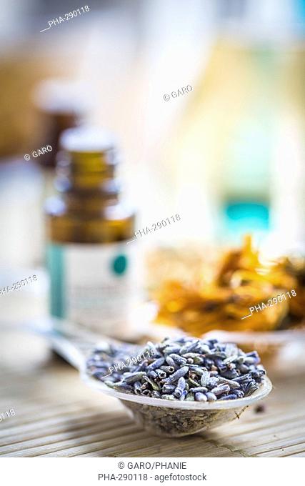 Medicinal herbs, assortment of dried herbs and essentiel oil