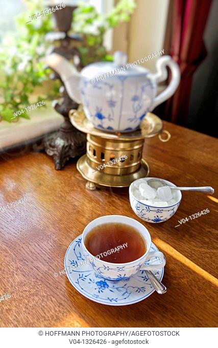 Close up of a traditional east frisian tea time in a tearoom on the island of Spiekeroog, Lower Saxony, Germany, Europe