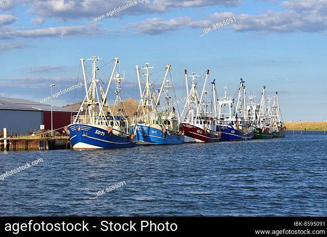 Shrimp cutter in the harbour of Büsum, Germany, Europe