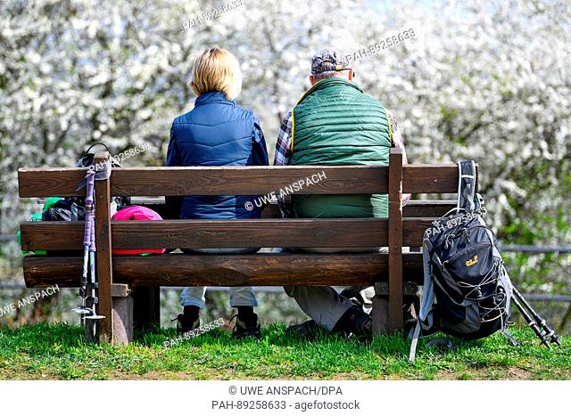Two people on a stroll with walking sticks and hiking backpacks sit on a bench at the Mandelblüten-Panoramaweg (lit. almond blossom panorama path)