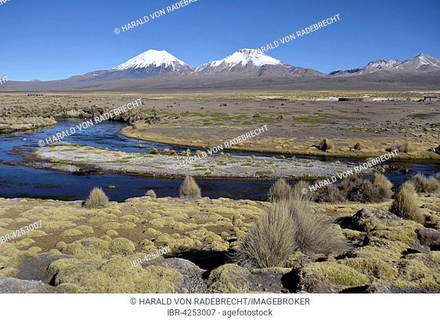 Snowcapped volcanoes Pomerape and Parinacota, Sajama National Park, border between Bolivia and Chile