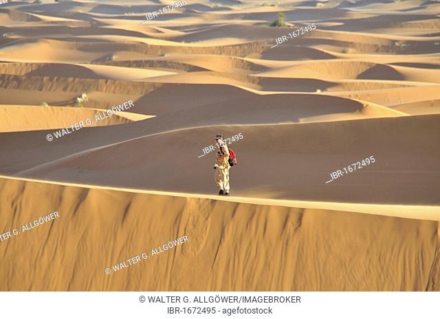 Man trekking through the desert, Erg Chebbi, Morocco, Africa