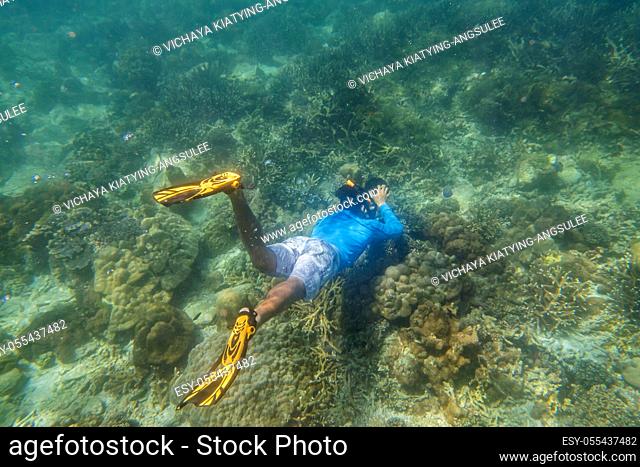 snorkeling diver make a free diving on tropical reef with blue background and reef fish in andaman sea indian ocean Thailand