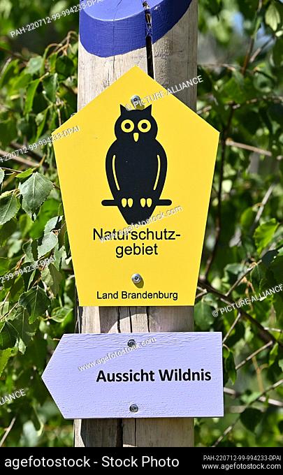 12 July 2022, Brandenburg, Lieberose: A signpost stands in the Lieberoser Heide of the Brandenburg Natural Landscapes Foundation ""The Wilderness Foundation""