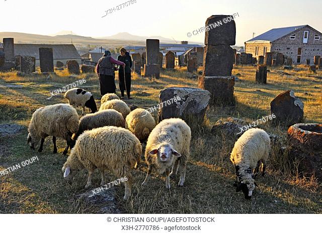 shepherdess at Noratus cemetery (the largest surviving cemetery with khachkars in Armenia), near Lake Sevan, Gegharkunik region, Armenia, Eurasia