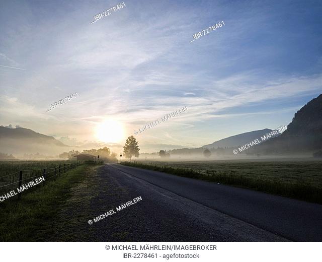 Morning mist on the floodplains of Walchsee lake, Tyrol, Austria, Europe