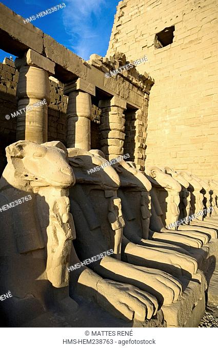 Egypt, Upper Egypt, Upper Egypt, Nile Valley, Luxor, Karnak listed as World Heritage by UNESCO, temple dedicated to Amon God