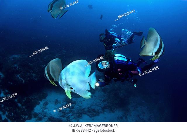 Diver with a Rebreather. (A closed or half-closed circulatory system) . Maldives