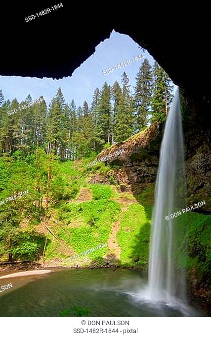 Waterfall in a forest, South Falls, Silver Falls State Park, Oregon, USA