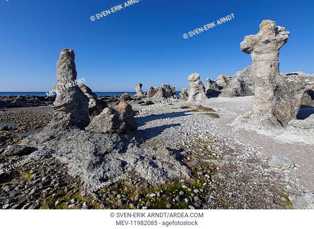 Stone columns at Folhammar - Faroe island - Gotland, Sweden