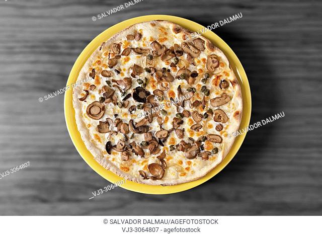 mushroom pizza, studio photography Girona, Catalonia, Spain