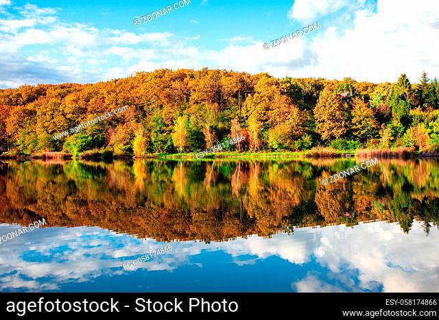Beautiful scenery of autumn forest near lake. Sunny weather with colorful trees and blue sky, reflecting in calm water. Exploring native lands