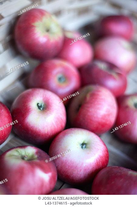 apples in extraordinary market in Ordizia, euskadi