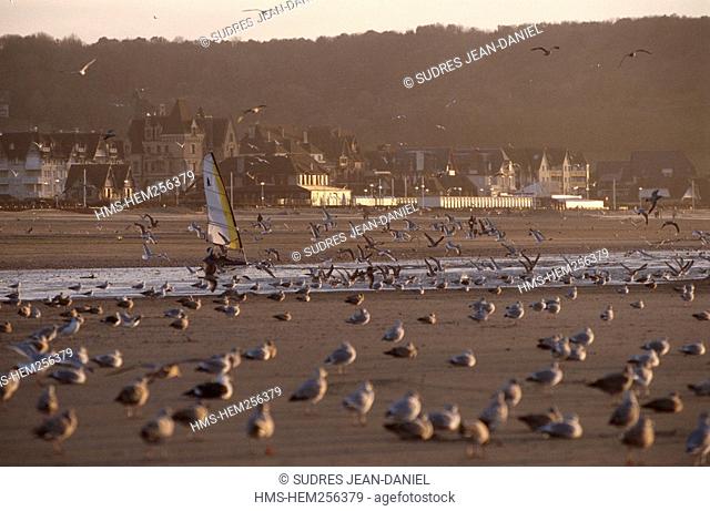 France, Calvados, Deauville, sand yachting on the beach in the evening light